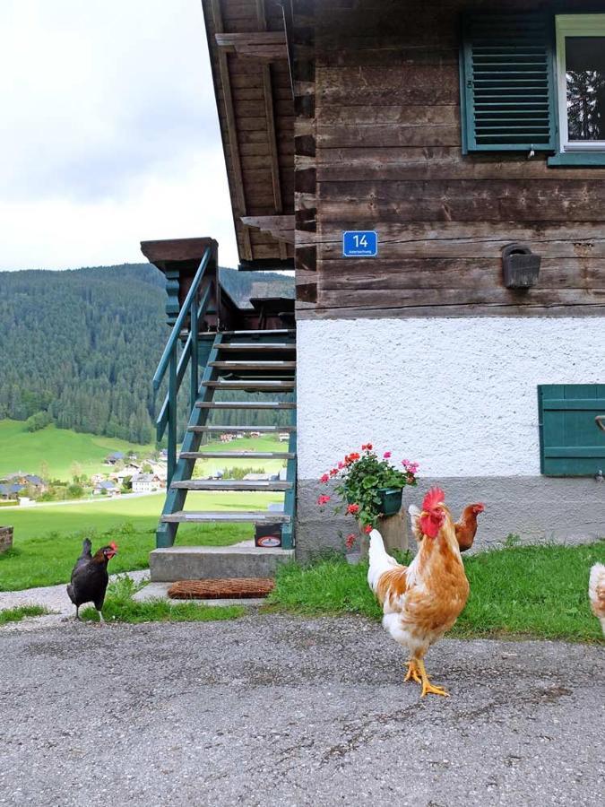 Asterbach Gosau